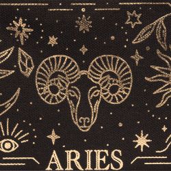 Pochette Frontale Edtition Limitée Noël